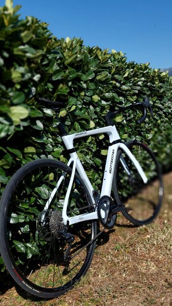 Gebrauchtes Bottecchia Aerospace Shimano Ultegra 2025 Road & Gravel, Weiß — Bild 5 von 21