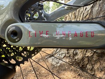 Used YT Capra CF Uncaged 10 2024 Mountainbike, Light Gray — image 8 of 8