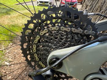 Used YT Capra CF Uncaged 10 2024 Mountainbike, Light Gray — image 4 of 8