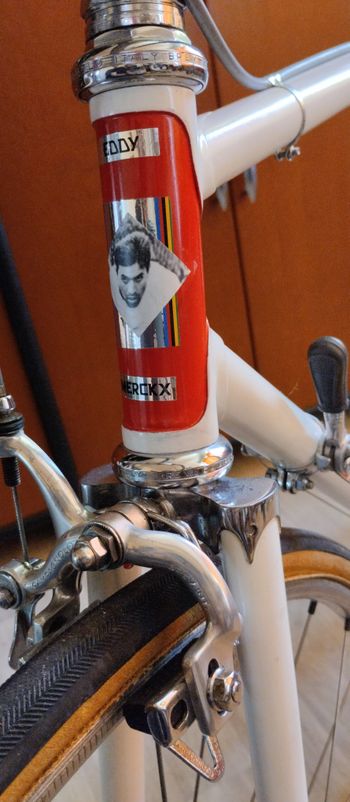 Used Eddy Merckx Faema 1970 Road & Gravel, White — image 34 of 34