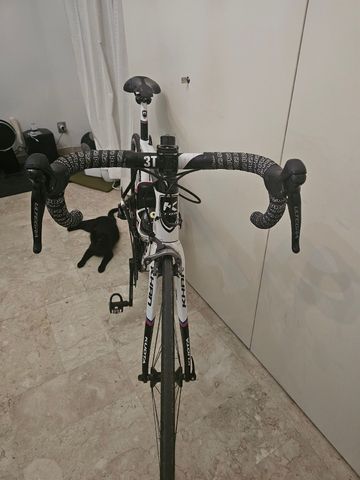 Used Kuota Custom Shimano Ultegra 2017 Road & Gravel, White — image 2 of 3