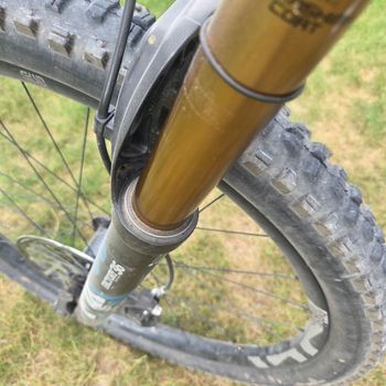 Used YT Custom Shimano XTR 2019 Mountainbike, Light Gray — image 33 of 37