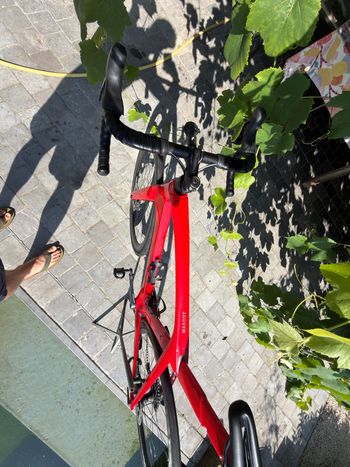 Brugt Trek Madone SL 6 2022 2022 Road & Gravel — billede 2 af 6