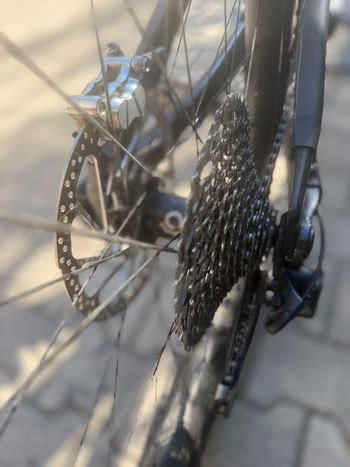 Used Dirtlab Paratu 2026 Mountainbike, Black — image 2 of 12