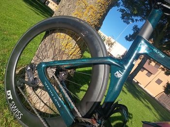 Used Bianchi Oltre Shimano Ultegra Di2 2026 Road & Gravel, Green — image 9 of 14