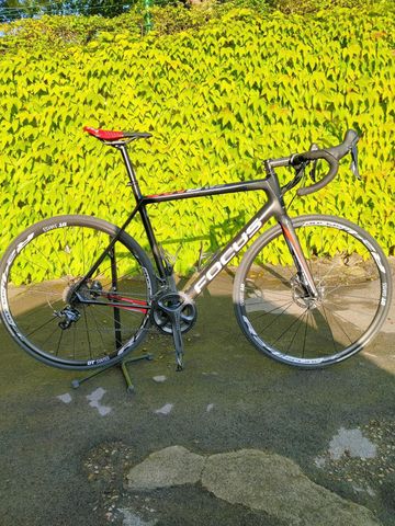 Used Focus Izalco Shimano Ultegra 2023 Road & Gravel