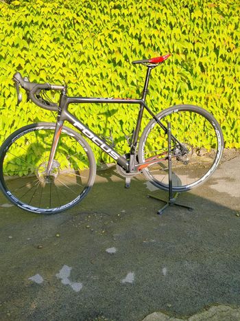 Used Focus Izalco Shimano Ultegra 2023 Road & Gravel, Black — image 2 of 3