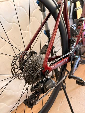 Liv EnviLiv Advanced 2 2024 2024 Road & Gravel usato, Rosso — immagine 6 di 6