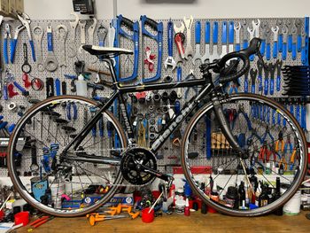 Brugt Bianchi Custom Shimano 105 2015 Road & Gravel — billede 1 af 19