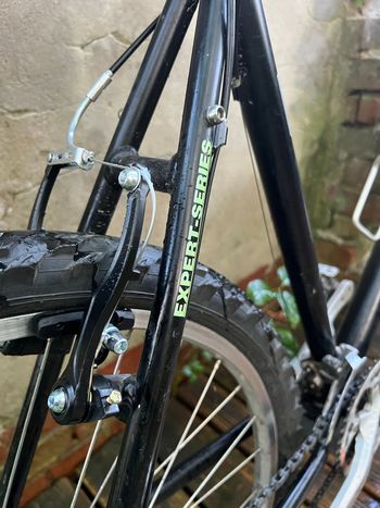 Used Checker Pig Custom Other Shimano - Mountainbike 1970 Mountainbike, Black — image 6 of 14