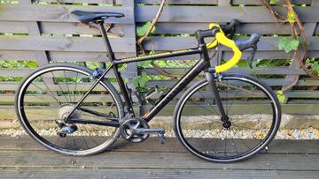Used Canyon Endurace AL 8.0 2019 2019 Road & Gravel