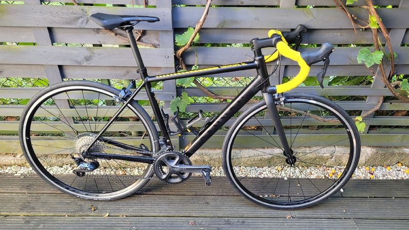Used Canyon Endurace AL 8.0 2019 2019 Road & Gravel