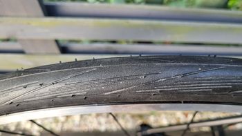 Canyon Endurace AL 8.0 2019 2019 Road & Gravel usato, Nero — immagine 11 di 13