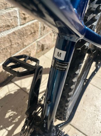 Used Trek Roscoe 8 2023 2023 Mountainbike, Blue, 27.5, 29 — image 15 of 22