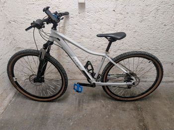 Used CUBE ACCESS WS PRO 2021 2021 Mountainbike, Light Gray, 27.5, 29 — image 1 of 13