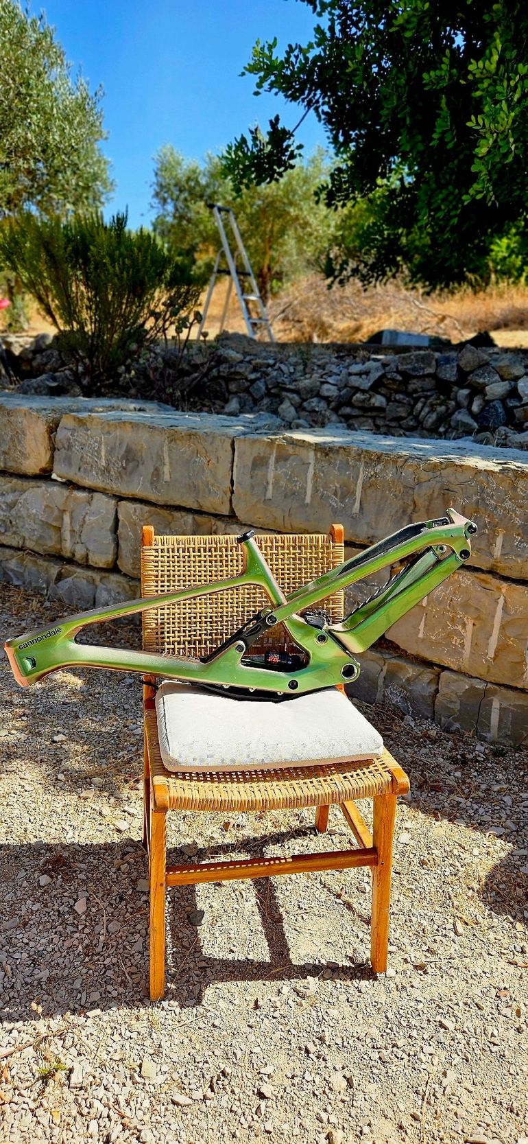 Gebrauchtes Cannondale Jekyll 1 2023 Frameset 2023 Mountainbike, Grün, 29 — Bild 1 von 9