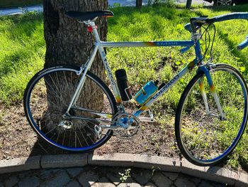 Gebrauchtes Colnago Custom Other Campagnolo 1990 Road & Gravel, Blau — Bild 14 von 14