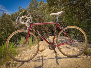 Käytetty TALBOT Custom Simplex Vintage 1980 Road & Gravel — kuva 9 / 10