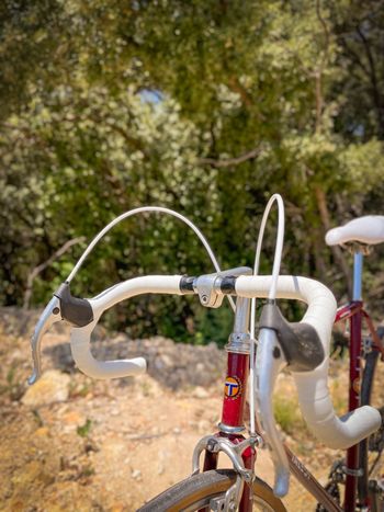 Käytetty TALBOT Custom Simplex Vintage 1980 Road & Gravel — kuva 7 / 10