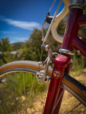 Käytetty TALBOT Custom Simplex Vintage 1980 Road & Gravel — kuva 5 / 10