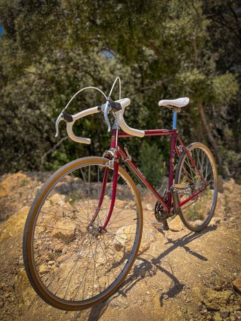 Käytetty TALBOT Custom Simplex Vintage 1980 Road & Gravel — kuva 8 / 10