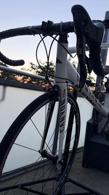 Brugt Canyon Ultimate Campagnolo Record 2013 2013 Road & Gravel — billede 9 af 11