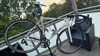 Brugt Canyon Ultimate Campagnolo Record 2013 2013 Road & Gravel — billede 1 af 11