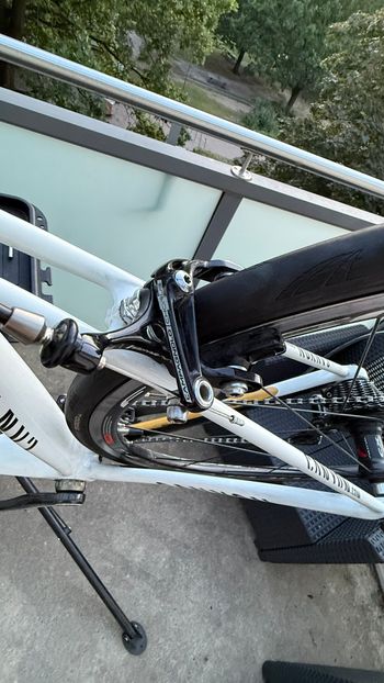 Brugt Canyon Ultimate Campagnolo Record 2013 2013 Road & Gravel — billede 7 af 11