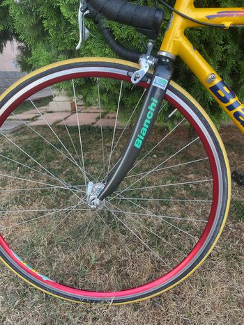 Bianchi Specialissima Campagnolo Chorus 1998 Road & Gravel usato, Arancione — immagine 16 di 25