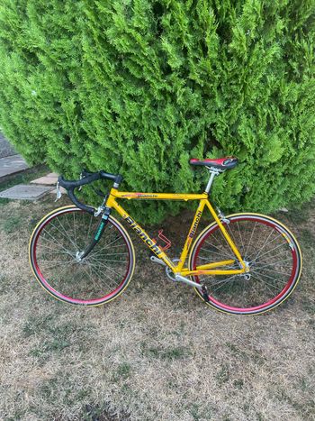 Bianchi Specialissima Campagnolo Chorus 1998 Road & Gravel usato, Arancione — immagine 2 di 25
