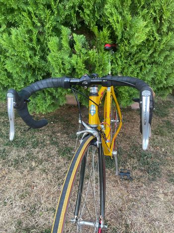 Bianchi Specialissima Campagnolo Chorus 1998 Road & Gravel usato, Arancione — immagine 19 di 25