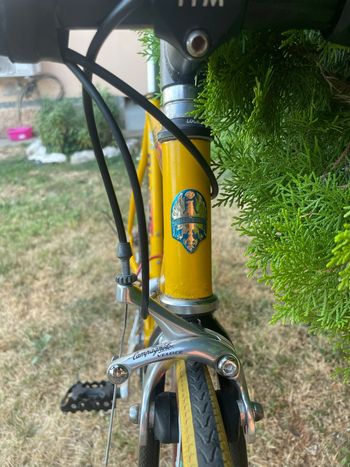 Bianchi Specialissima Campagnolo Chorus 1998 Road & Gravel usato, Arancione — immagine 13 di 25