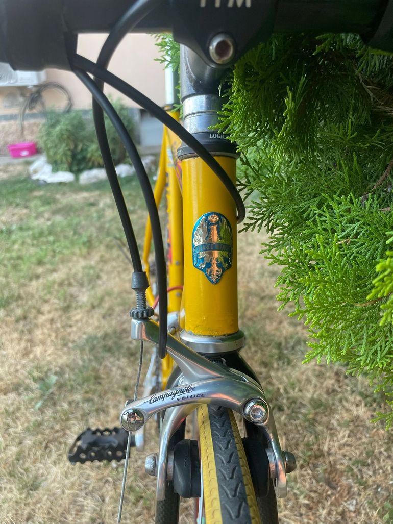 Bianchi Specialissima Campagnolo Chorus 1998 Road & Gravel usato, Arancione — immagine 13 di 25
