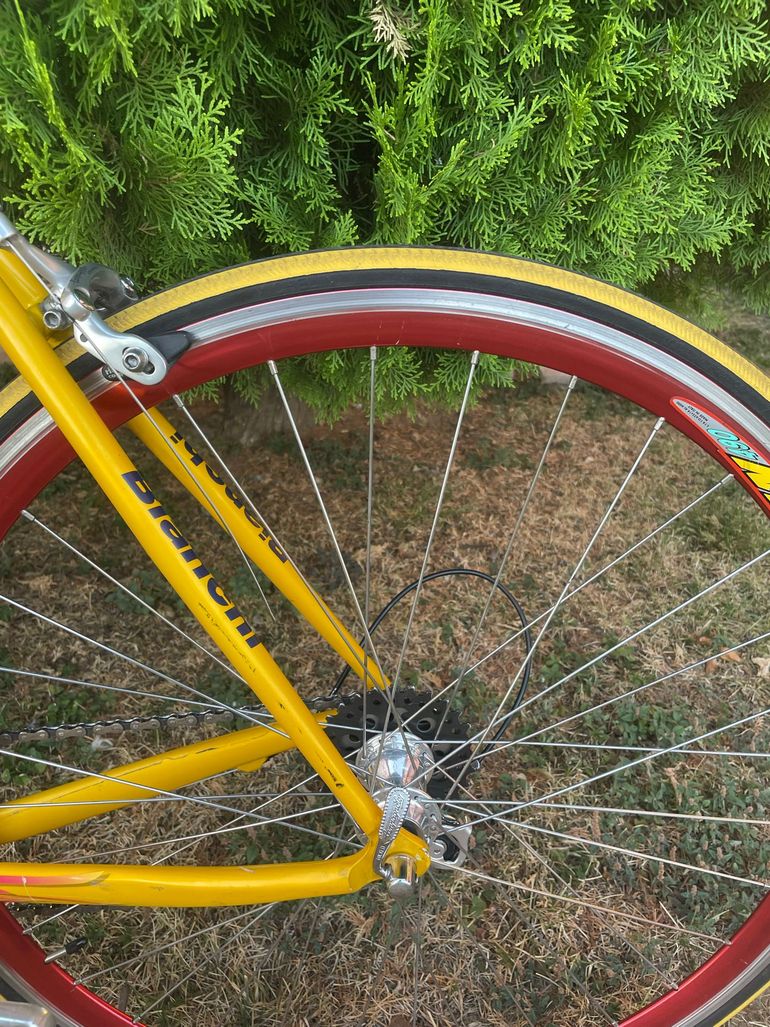 Bianchi Specialissima Campagnolo Chorus 1998 Road & Gravel usato, Arancione — immagine 17 di 25