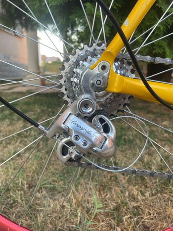 Bianchi Specialissima Campagnolo Chorus 1998 Road & Gravel usato, Arancione — immagine 4 di 25