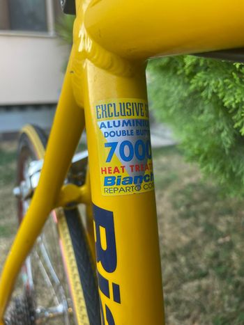 Bianchi Specialissima Campagnolo Chorus 1998 Road & Gravel usato, Arancione — immagine 8 di 25
