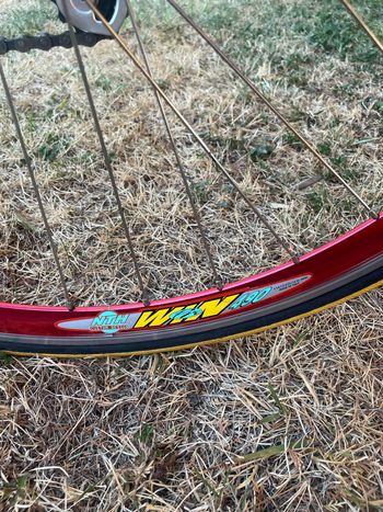 Bianchi Specialissima Campagnolo Chorus 1998 Road & Gravel usato, Arancione — immagine 21 di 25