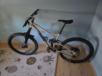 Radon SWOOP AL 9.0 2024 2024 Mountainbike usato, Grigio chiaro — immagine 2 di 3