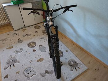 Radon SWOOP AL 9.0 2024 2024 Mountainbike usato, Grigio chiaro — immagine 3 di 3