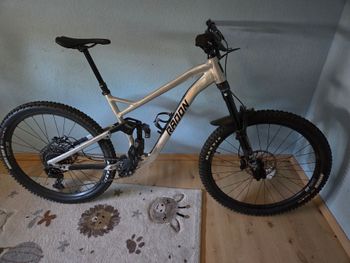 Radon SWOOP AL 9.0 2024 2024 Mountainbike usato, Grigio chiaro — immagine 1 di 3