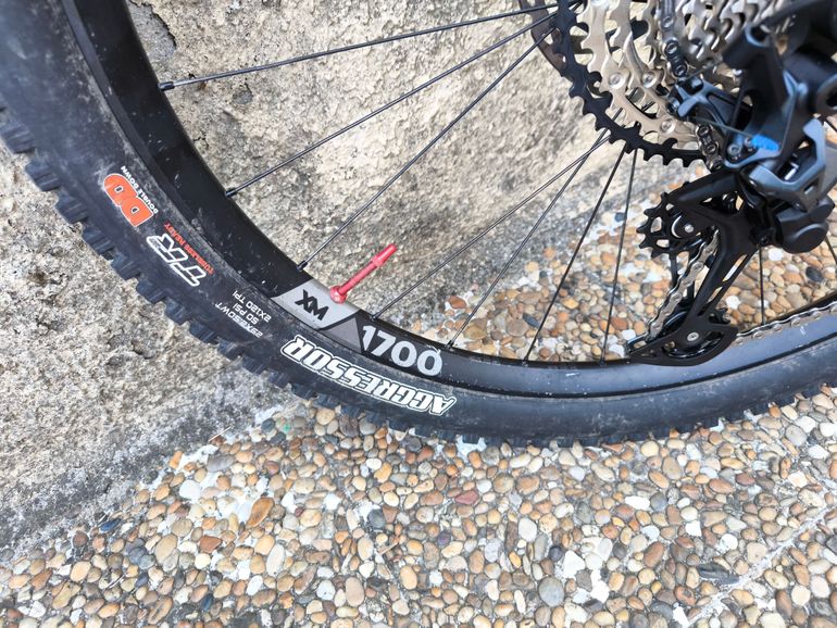 Brugt Canyon Spectral 29 CF 8 2024 2024 Mountainbike — billede 8 af 10