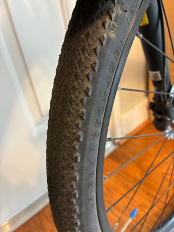 Used Cannondale Althea Shimano Altus 2019 Road & Gravel, Purple — image 10 of 14