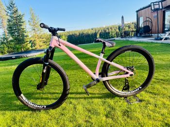 Käytetty Specialized P3 Custom Öhlins 26” 2026 Mountainbike — kuva 3 / 7