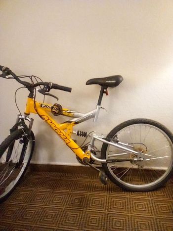 Used DYNACRAFT Custom Other 2008 Mountainbike, Orange — image 1 of 4