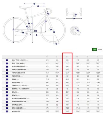 Gebrauchtes Giant Defy, Advanced 2 2021 2021 Road & Gravel, Hellgrau — Bild 4 von 5
