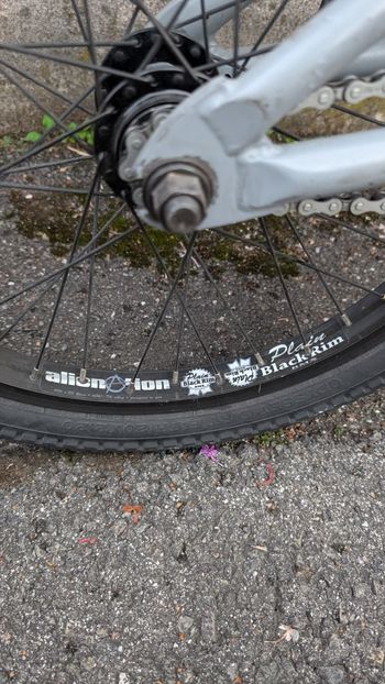 Used Wethepeople Custom 2021 Urban, Light Gray — image 10 of 10