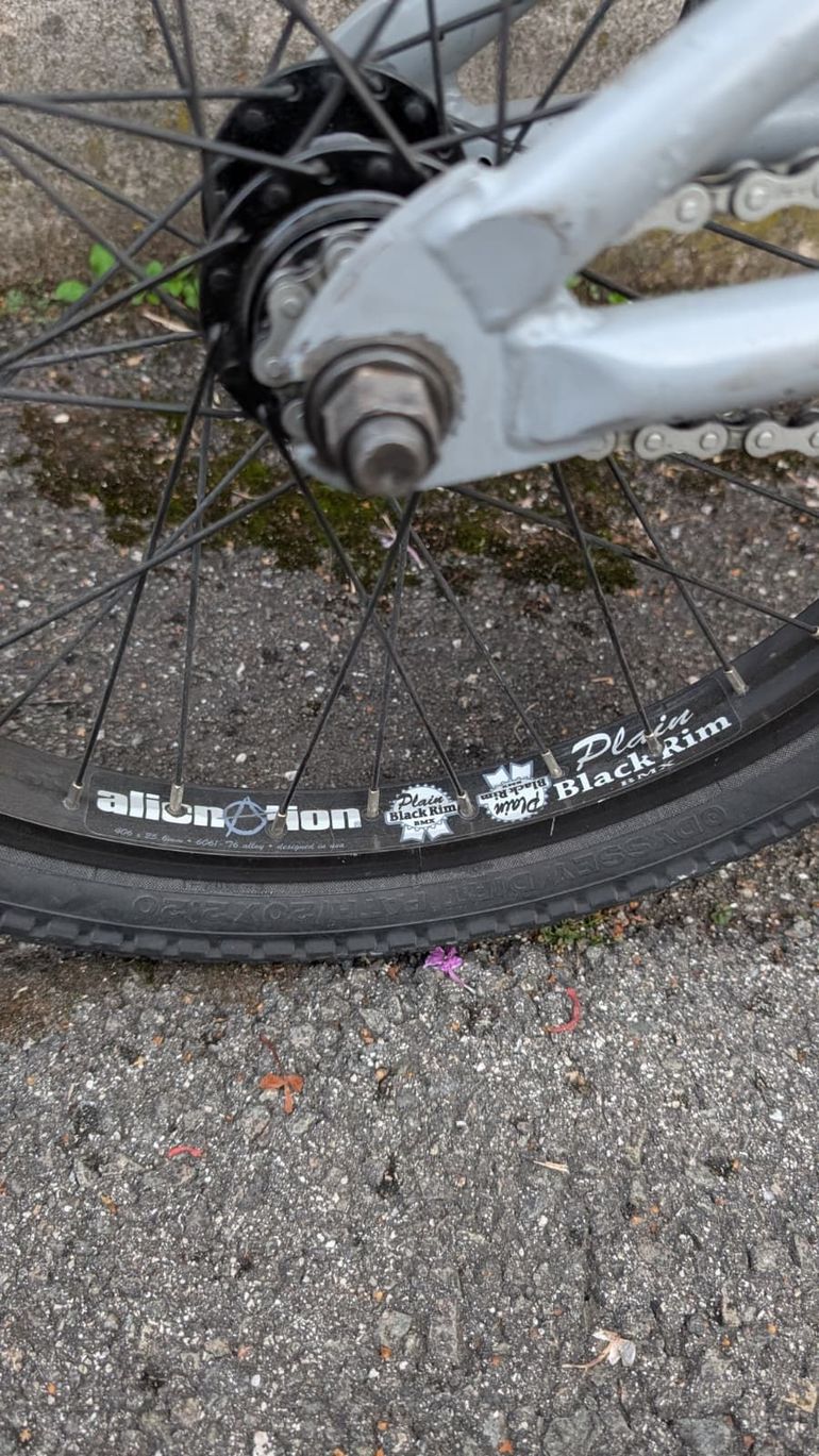Used Wethepeople Custom 2021 Urban, Light Gray — image 10 of 10