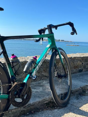 AVENGER Custom Frameset 2025 Road & Gravel d'occasion — image 3 sur 23