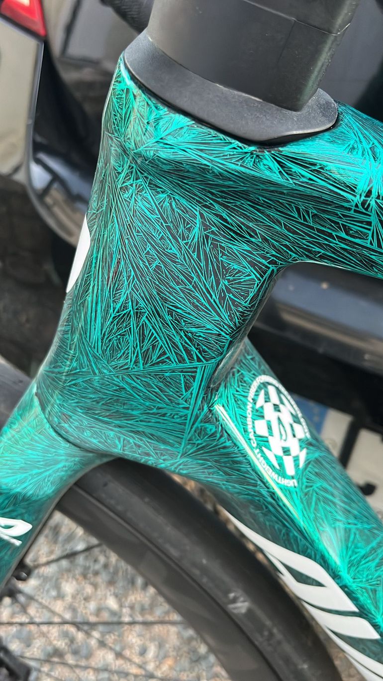 AVENGER Custom Frameset 2025 Road & Gravel d'occasion — image 4 sur 23
