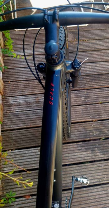 Used Scott Scale 970 2021 2021 Mountainbike, Light Gray, 29 — image 6 of 6